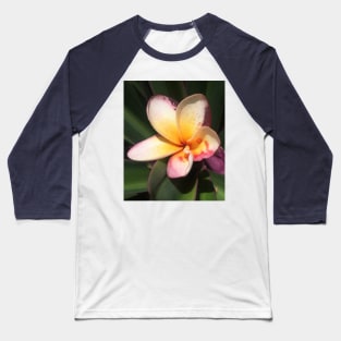 Caribbean Tropical Flower Baseball T-Shirt